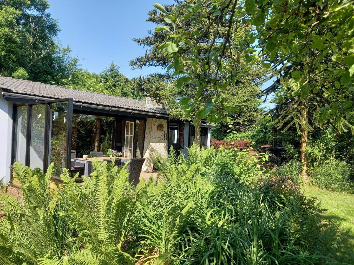 Natuurhuisje Eartswoud Aartswoud Exterior photo
